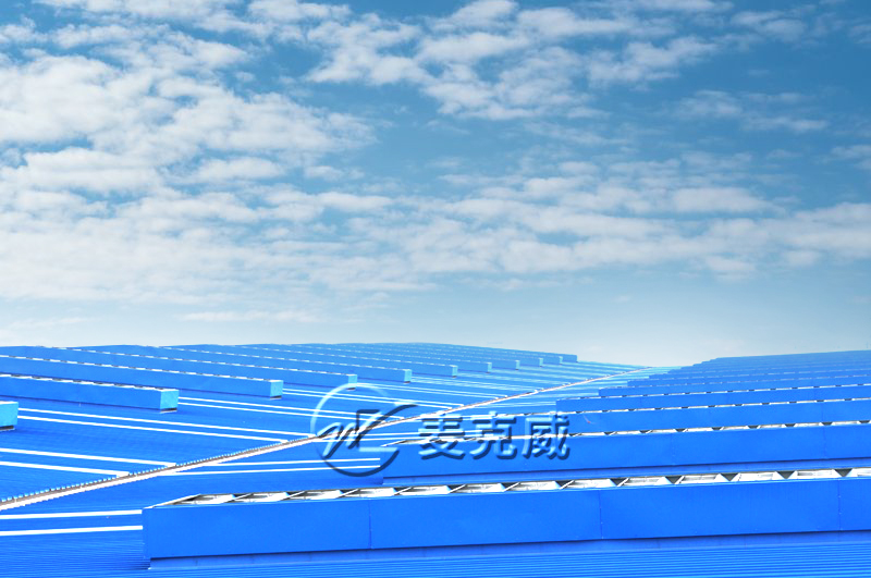 武漢武船雙柳特種船舶項目 武漢武船雙柳特種船舶項目